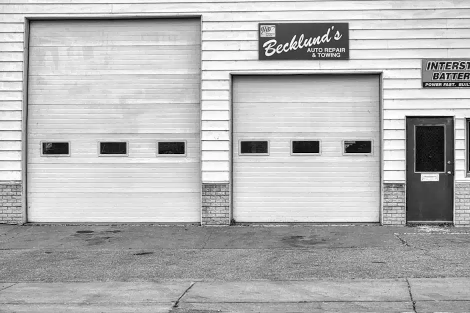 professional garage door opener repair orlando fl overview by DoorX